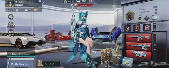 حساب ببجي استخدام شخصي ومتعوب عليه المدينه المنوره فقططط 0