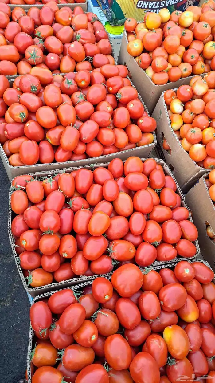 مندوب وموزع خضار 1