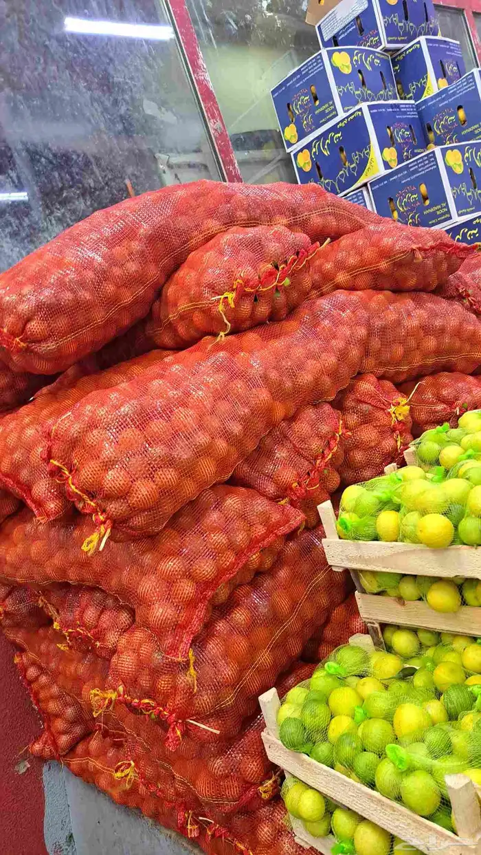 مندوب وموزع خضار 11