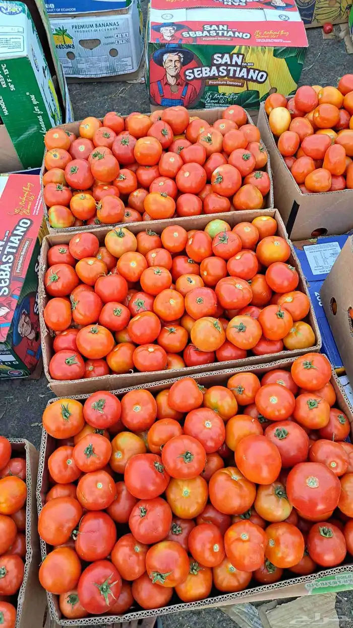 مندوب وموزع خضار 12