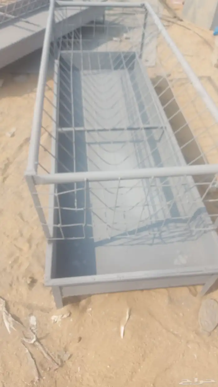 مالف غنم 2 65 1 65 0