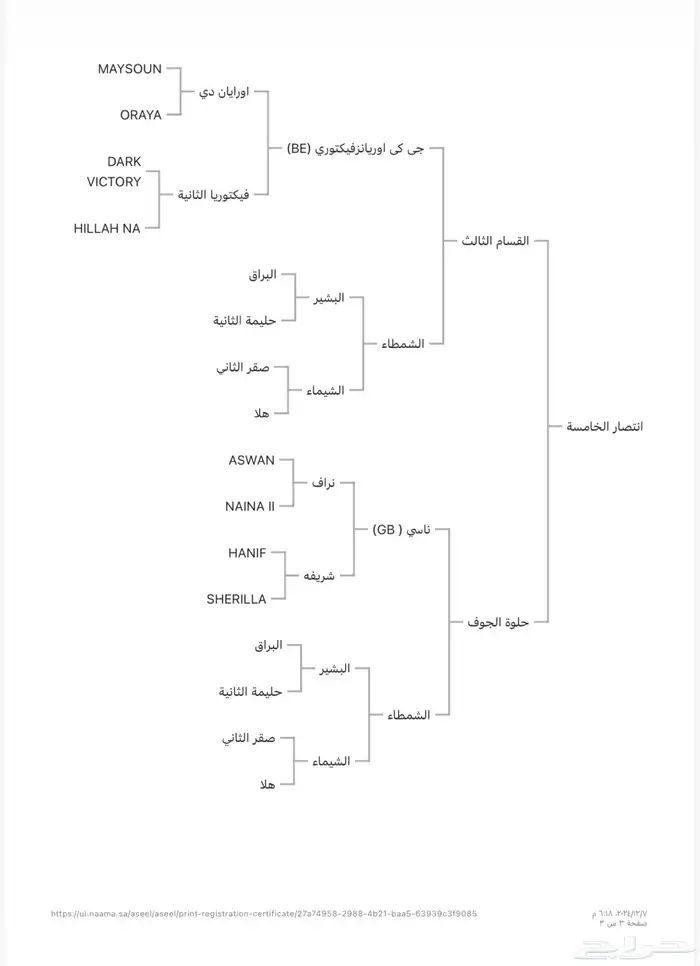 فرس واهو لقاح على فحل طيب بسعر مغري 3