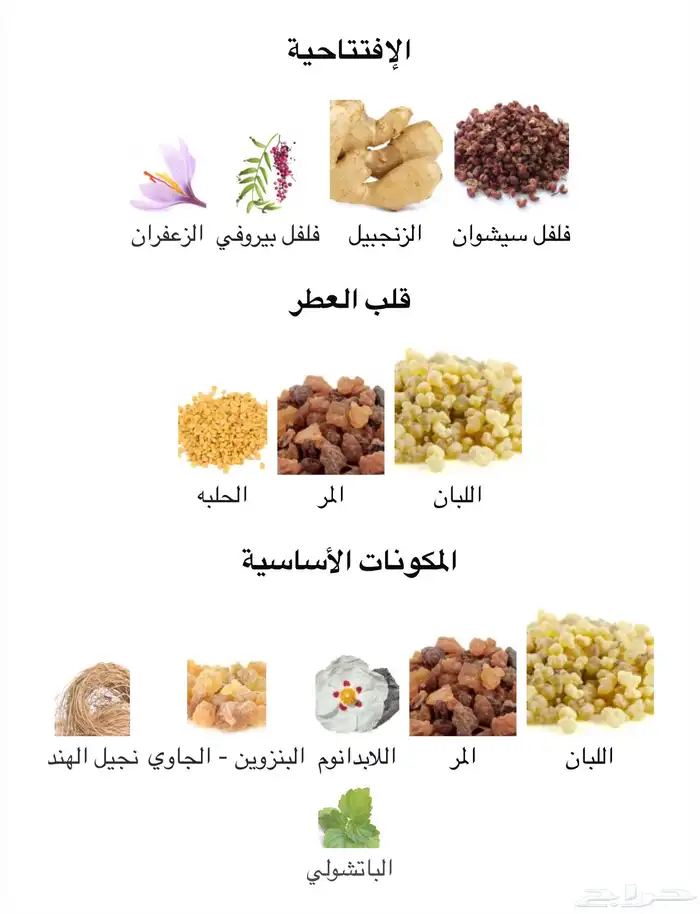 عطر أمواج Lineage Amouage 2