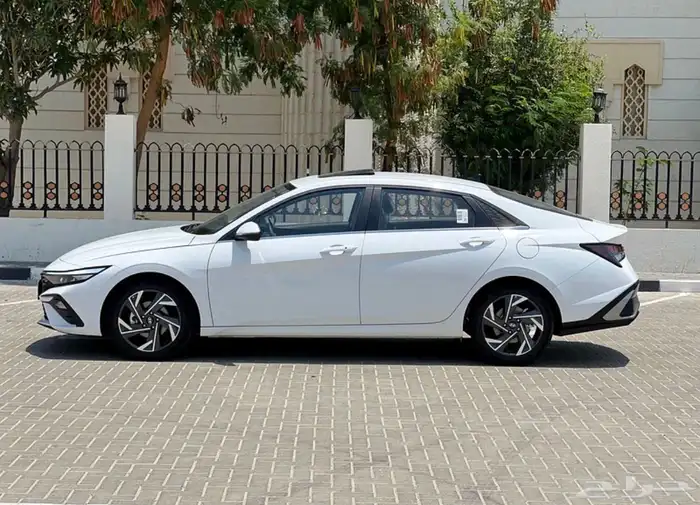 النترا 2025 فل الفل جديد 2