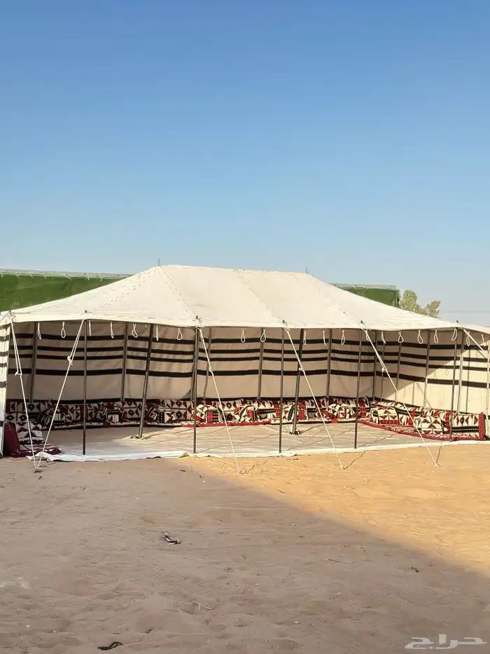 خيام خيمة الصقور خيمة الملكية خيمة عامود بيت شعر 6