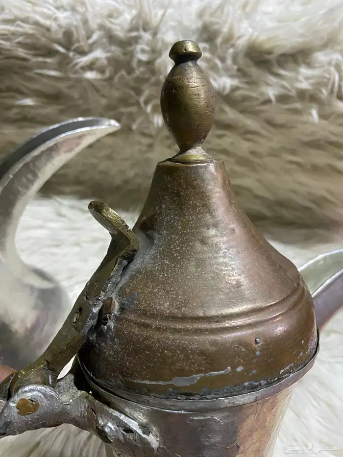 دله سيد صالح ودله بدون ختم قصه وحده عرقيه اصل 12