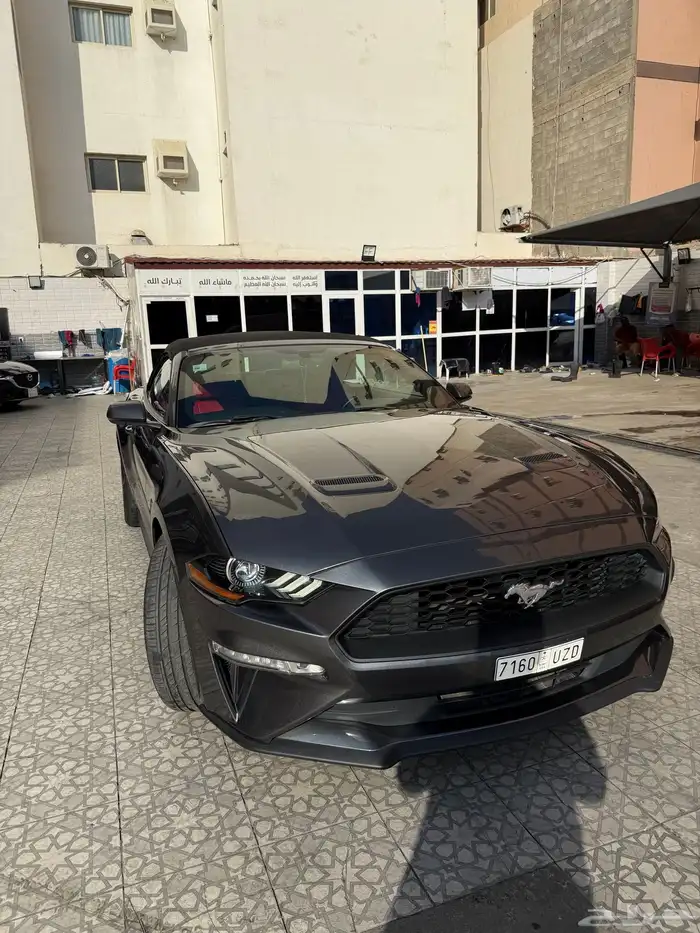 موستنج 2018 كشف 1