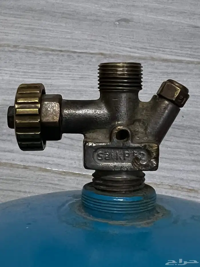 سيفرت دافور سويدي 1964م 5