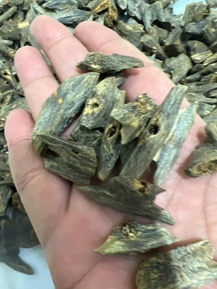 طيب عود كينام اندرووتر نكهه سويتيه زعفرانيه قديمه جدا بخور 1