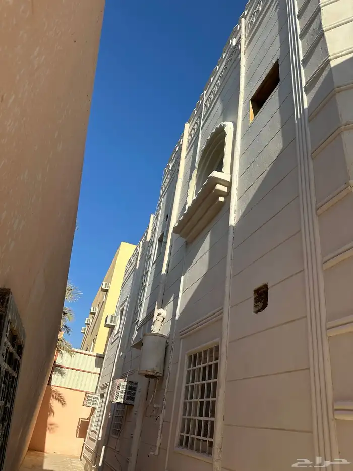 بديل الحجر 5