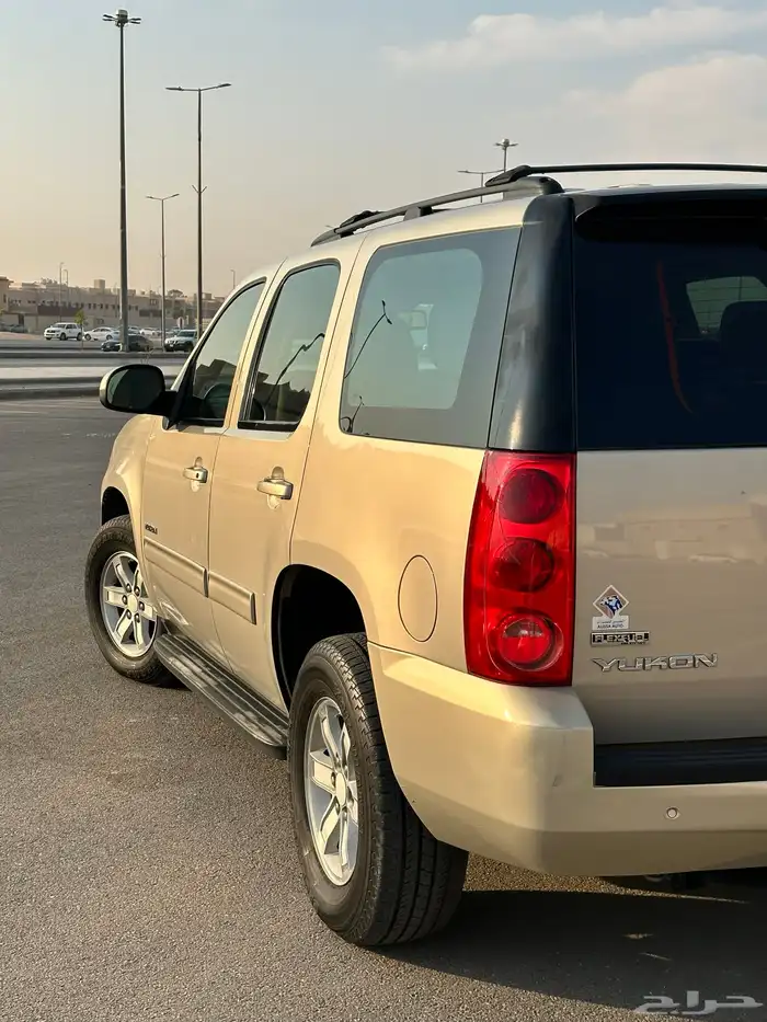 يوكن قصير ذهبي السوم 26 8