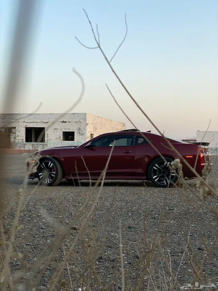 جنط zl1 نظيف وشرط يركب كمارو كابرس لومينا كاديلاك 1