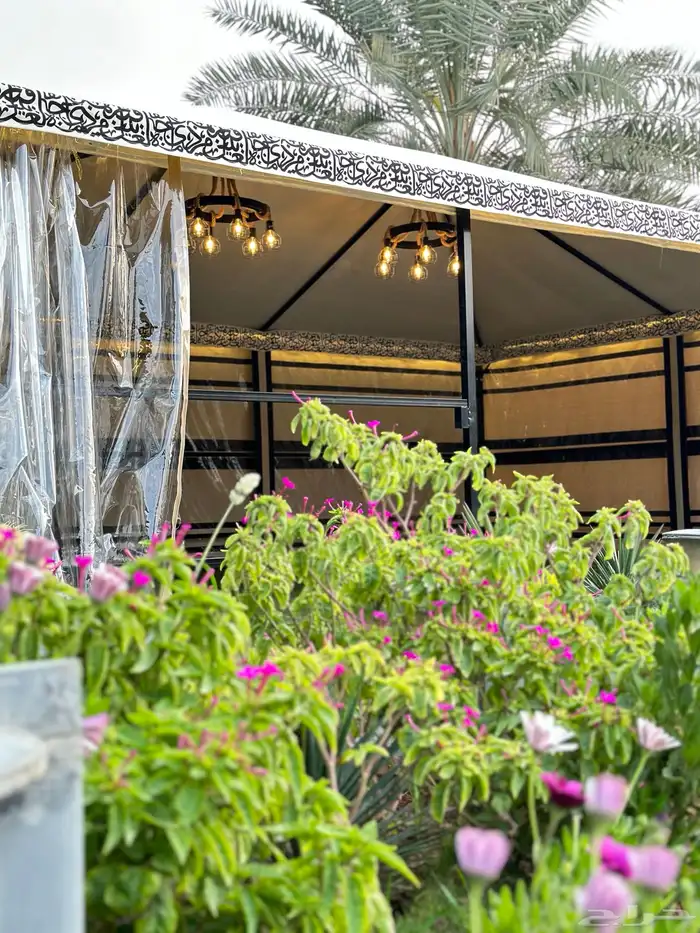 خيام خيمة الصقور خيمة الملكية خيمة عامود بيت شعر 5