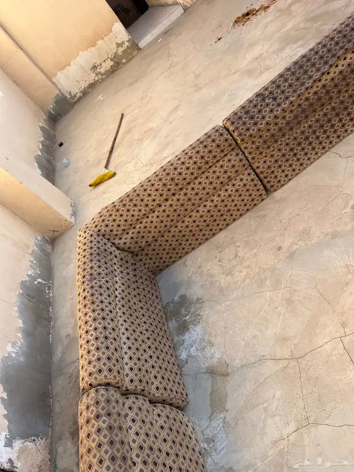 سلام عليكم اعرض لكم كنبات مستعلمه 3