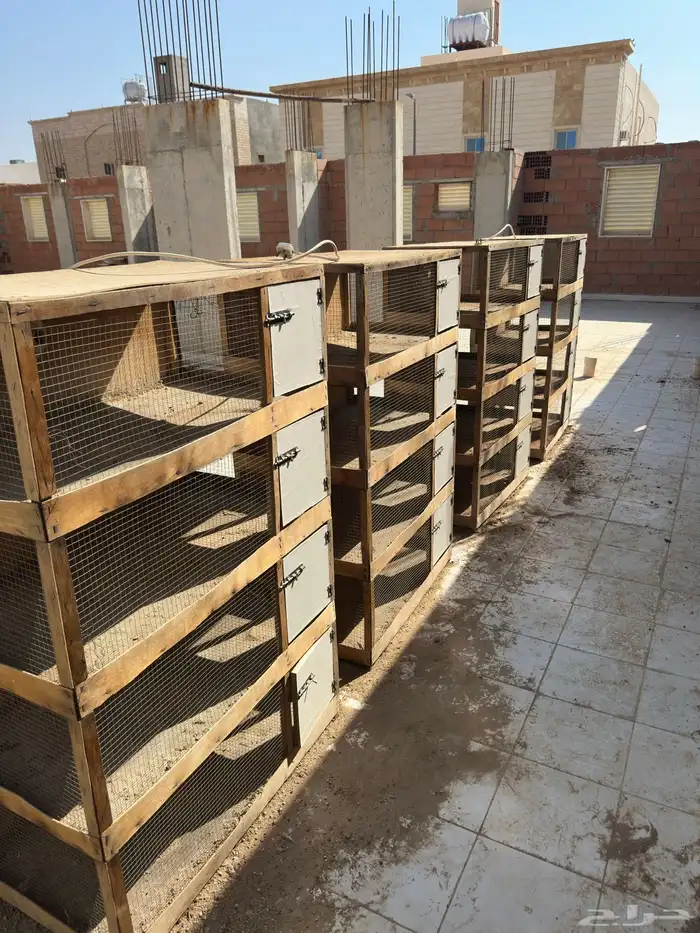 محاكر خشب للبيع 1