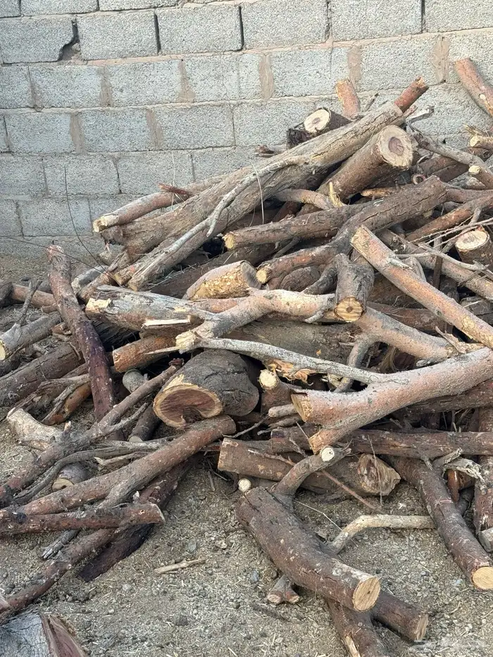 حملة صندوق شاص حطب سمر افريقي مستورد 3