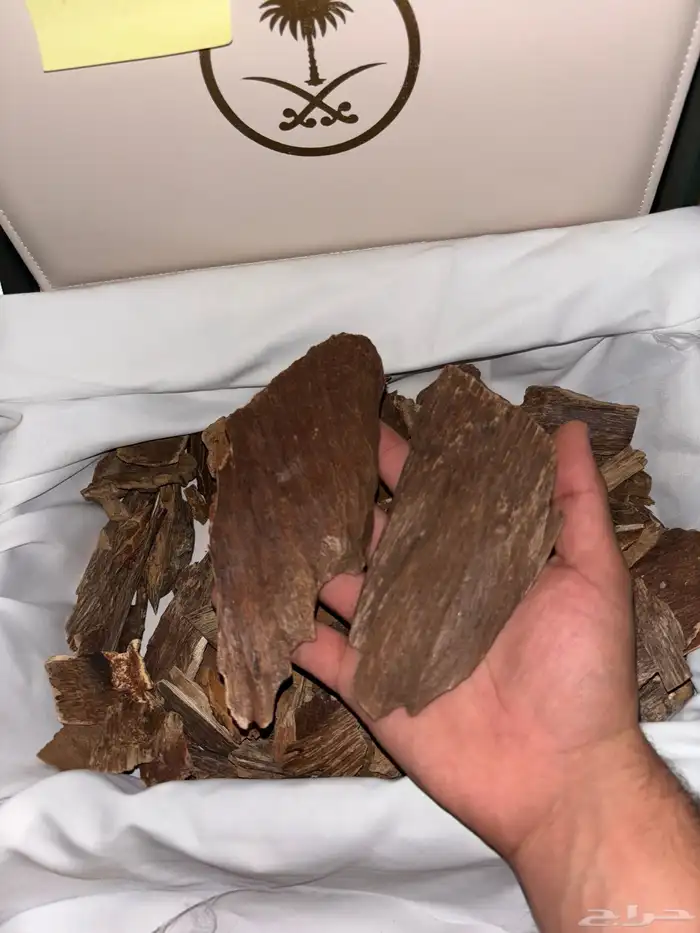 عود بورمي طبيعي سوبر 0