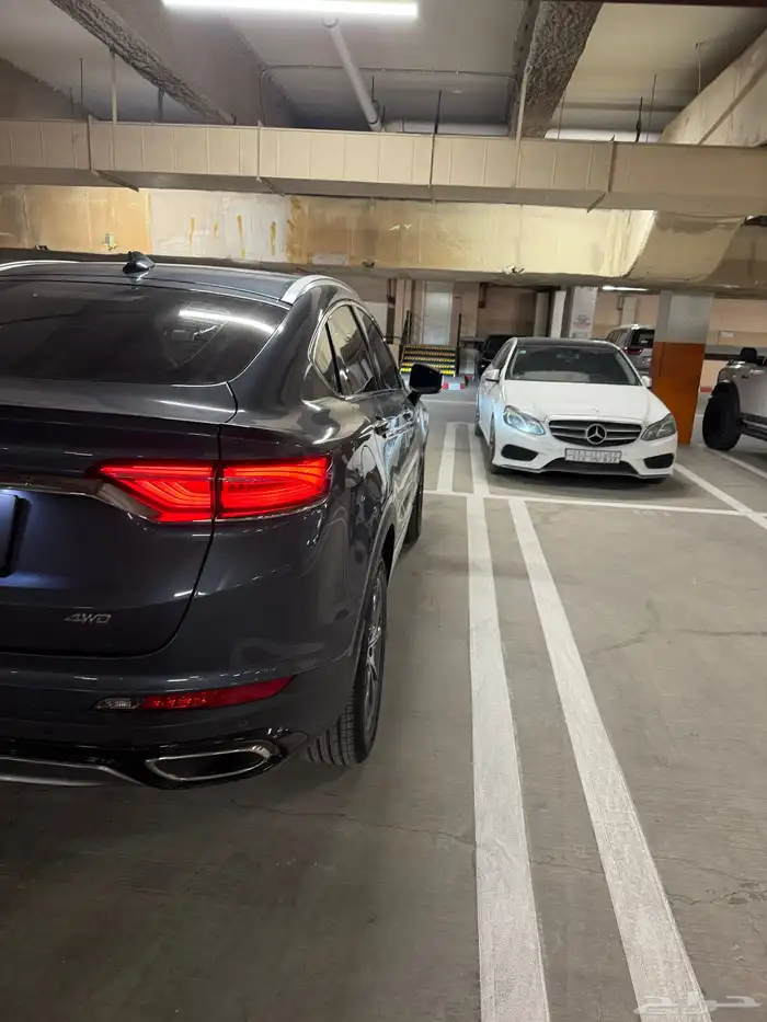 جيلي توجيلا 10