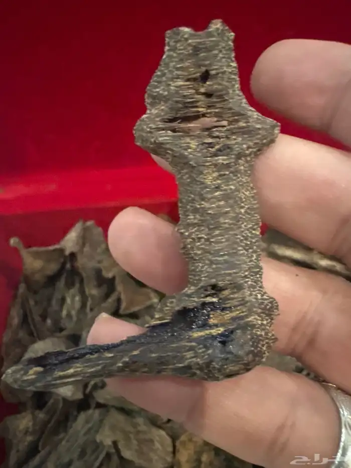 عود كاليمنتان بونتيانك (( غطاس )) اندر ووتر طبيعي 100   100 4