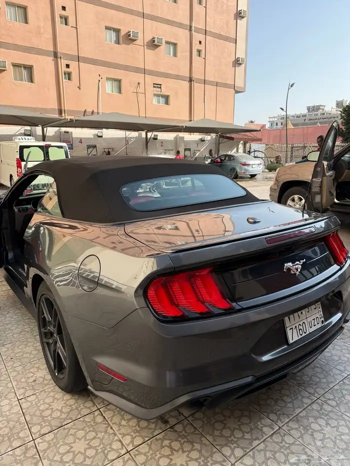 موستنج 2018 كشف 22