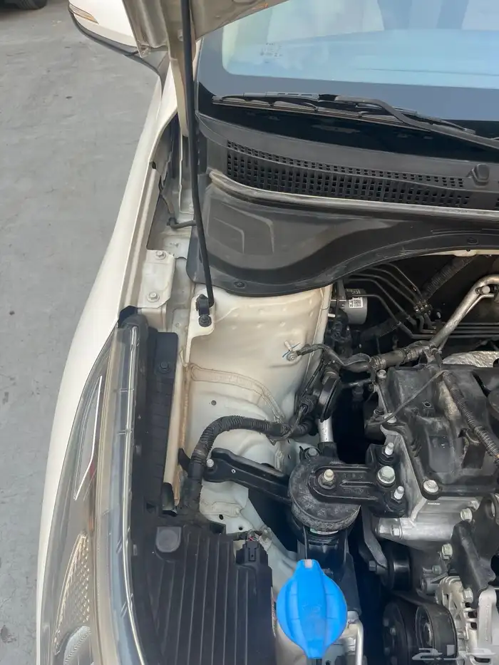 أكسنت 2021 قمة في النظافة 19