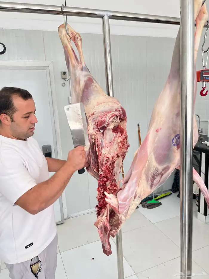 لحوم   طازجة بافضل الأسعار واعلي جودة مؤسسة الصالحة للحوم 7