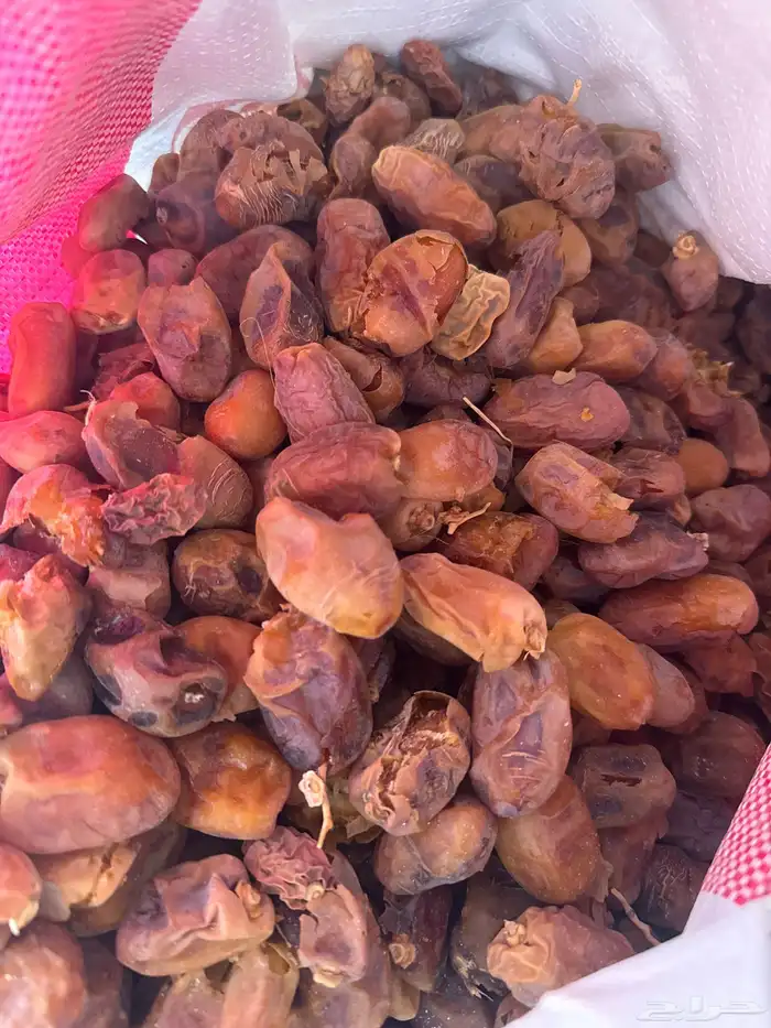 تمر علف ناشف للبيع 0