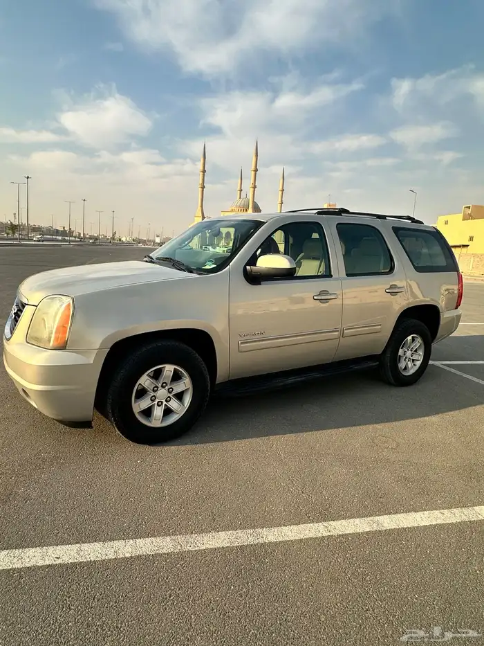 يوكن قصير ذهبي السوم 26 0