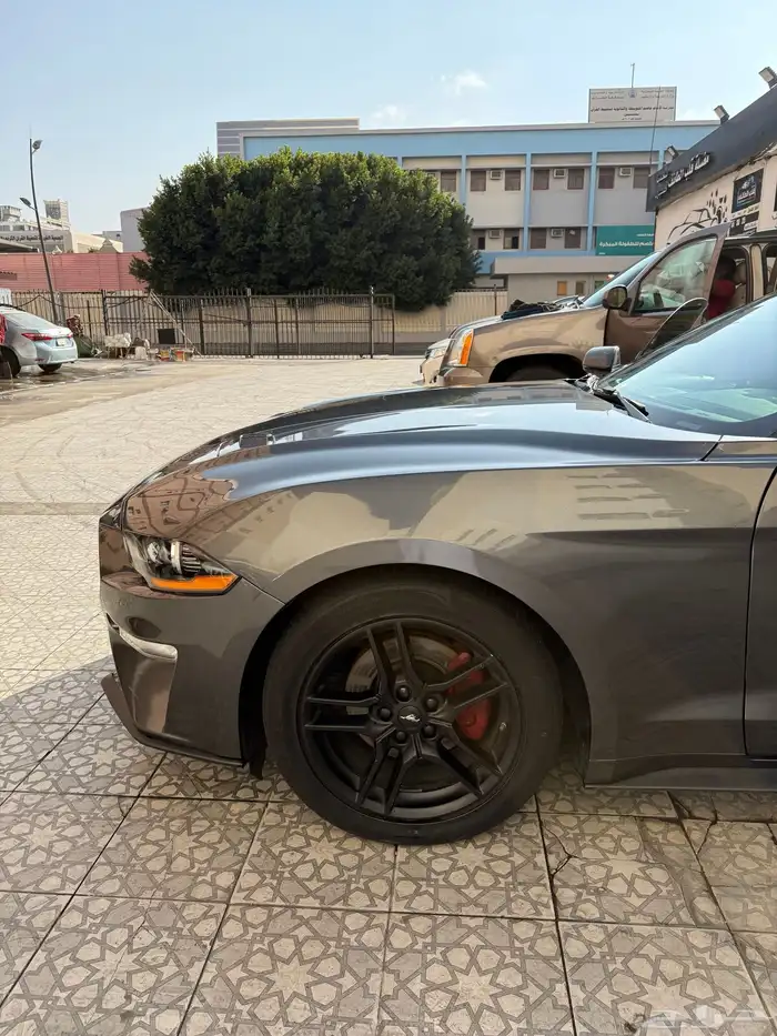 موستنج 2018 كشف 19