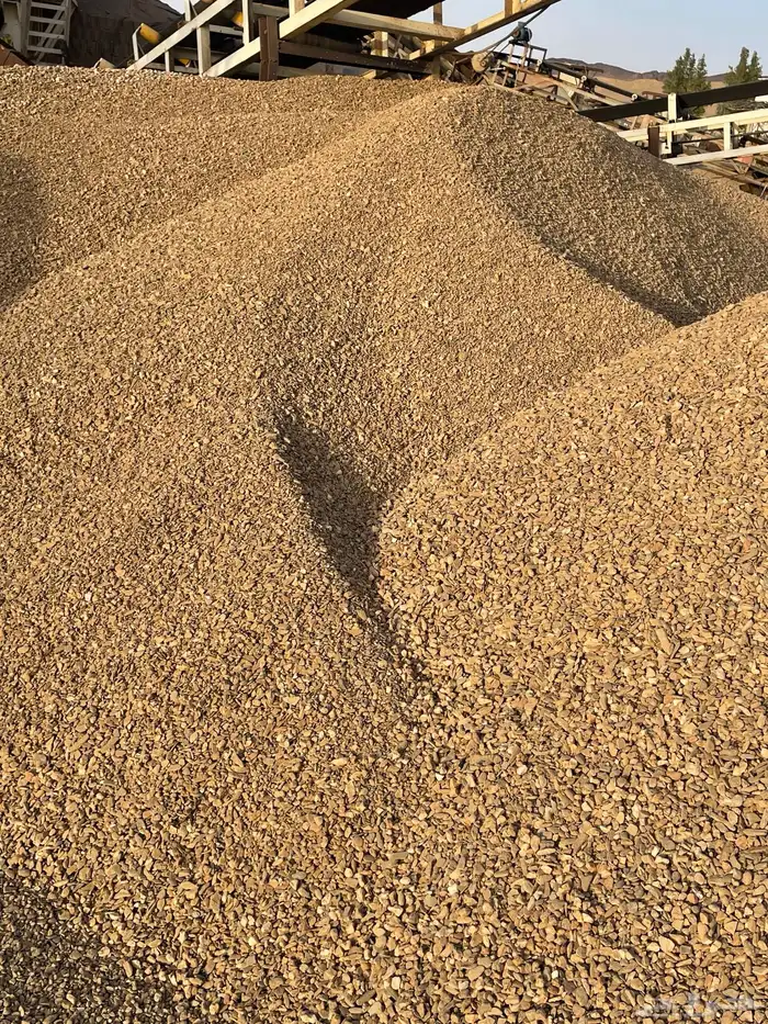 يوجد خرسان للبيع 1