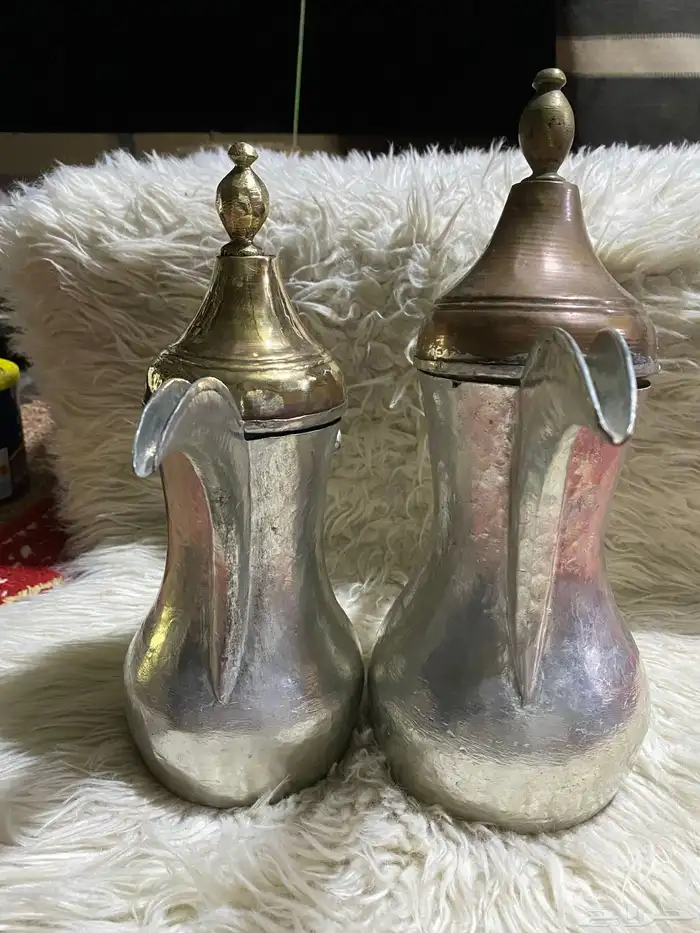 دله سيد صالح ودله بدون ختم قصه وحده عرقيه اصل 1