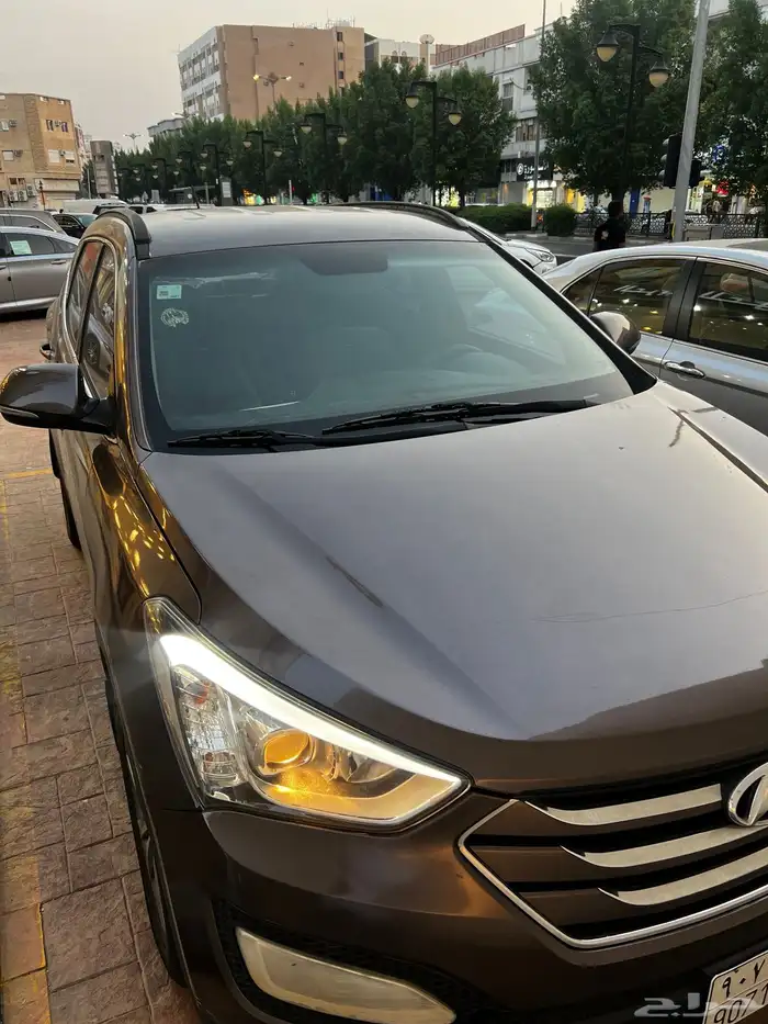 سنتافي 2016 24