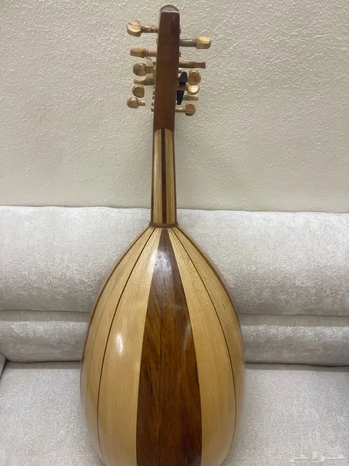 عود مصري 5