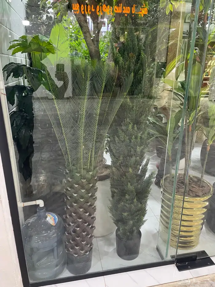 شجرة سنايع تنسيق أي مكان بالعالم الخارجي داخلي 2