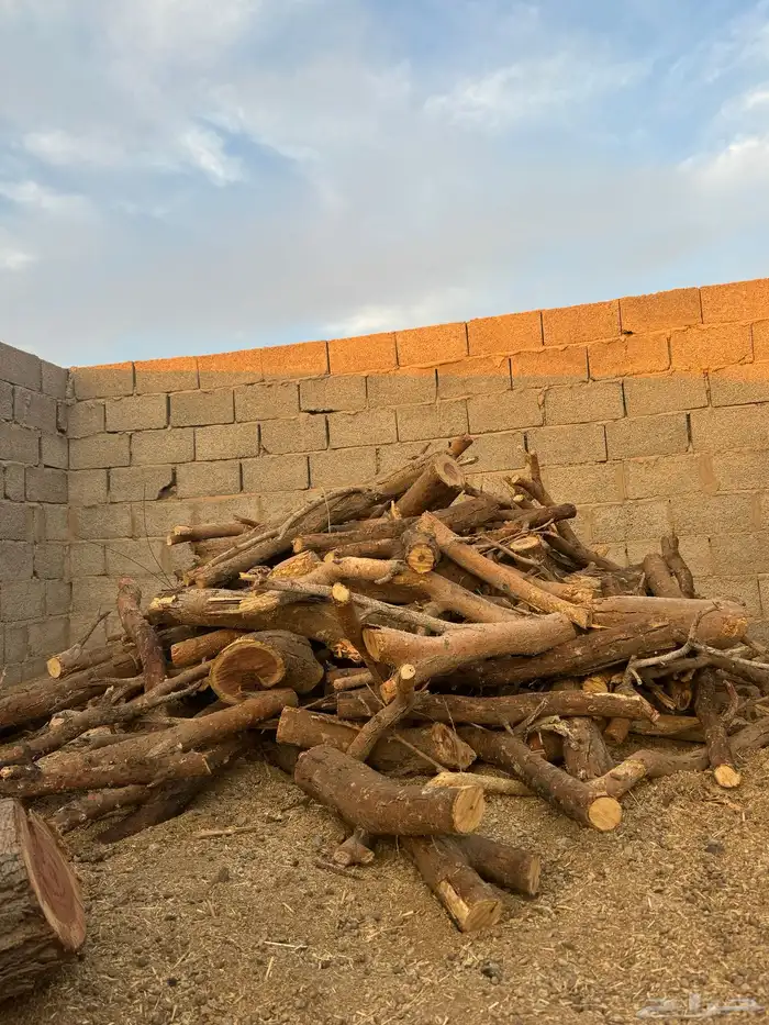 حملة صندوق شاص حطب سمر افريقي مستورد 4