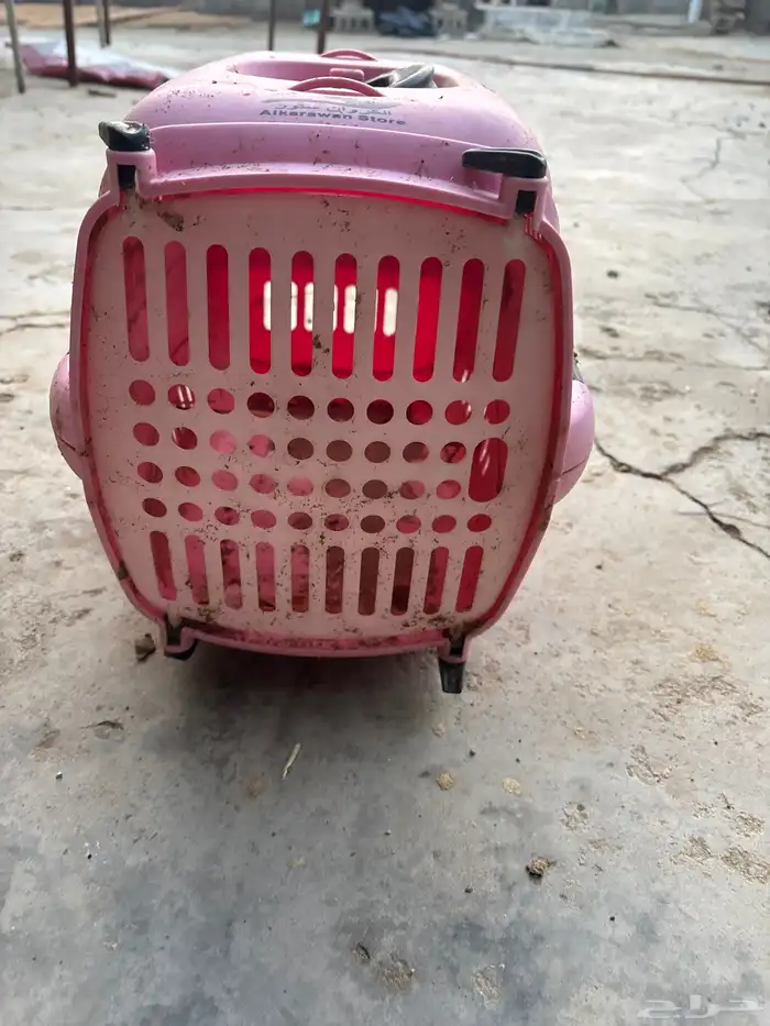 صندوق قطط لبيع 0