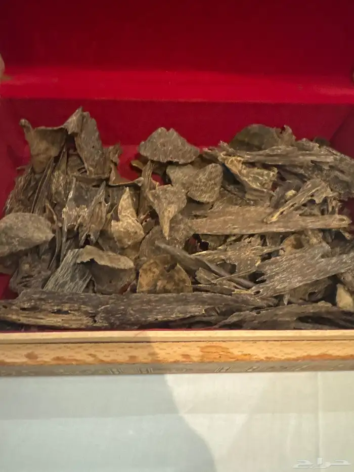 عود كاليمنتان بونتيانك (( غطاس )) اندر ووتر طبيعي 100   100 0