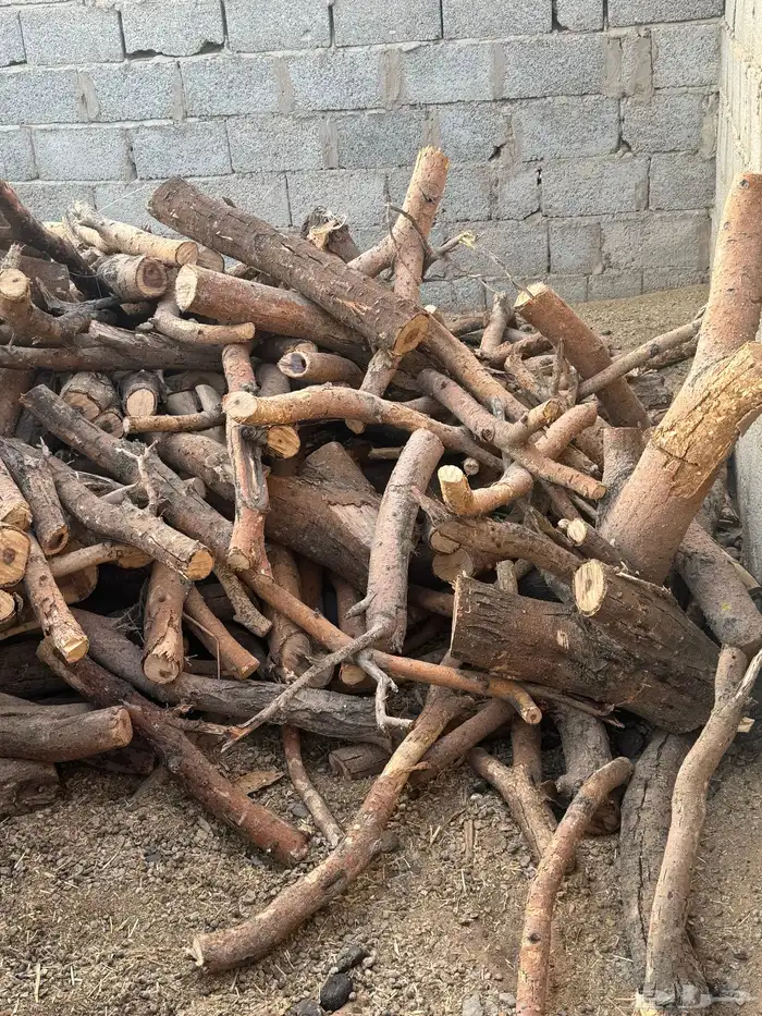 حملة صندوق شاص حطب سمر افريقي مستورد 0