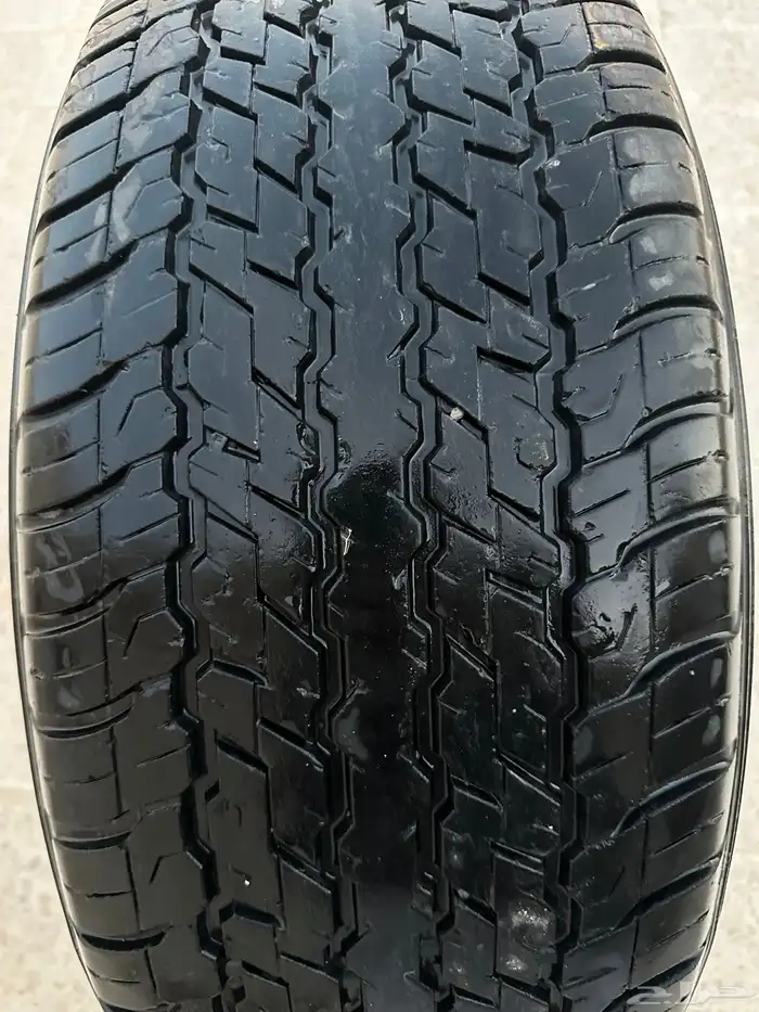 جنوط نيسان فتك سوبر سفاري 1