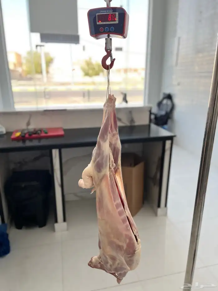 لحوم   طازجة بافضل الأسعار واعلي جودة مؤسسة الصالحة للحوم 17