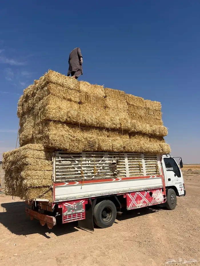 تبن بر صافي ناعم 1