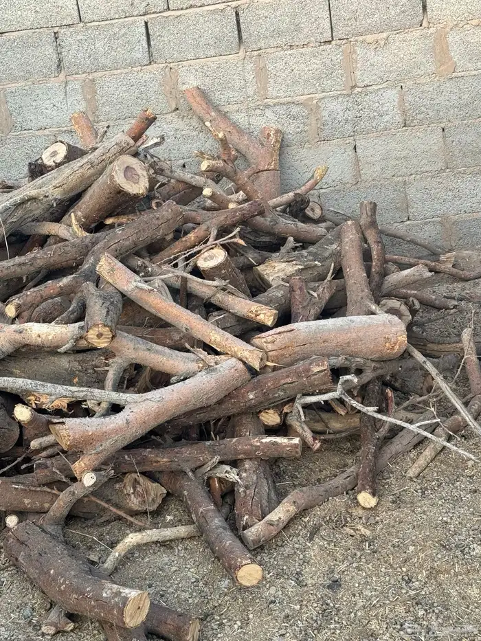 حملة صندوق شاص حطب سمر افريقي مستورد 1