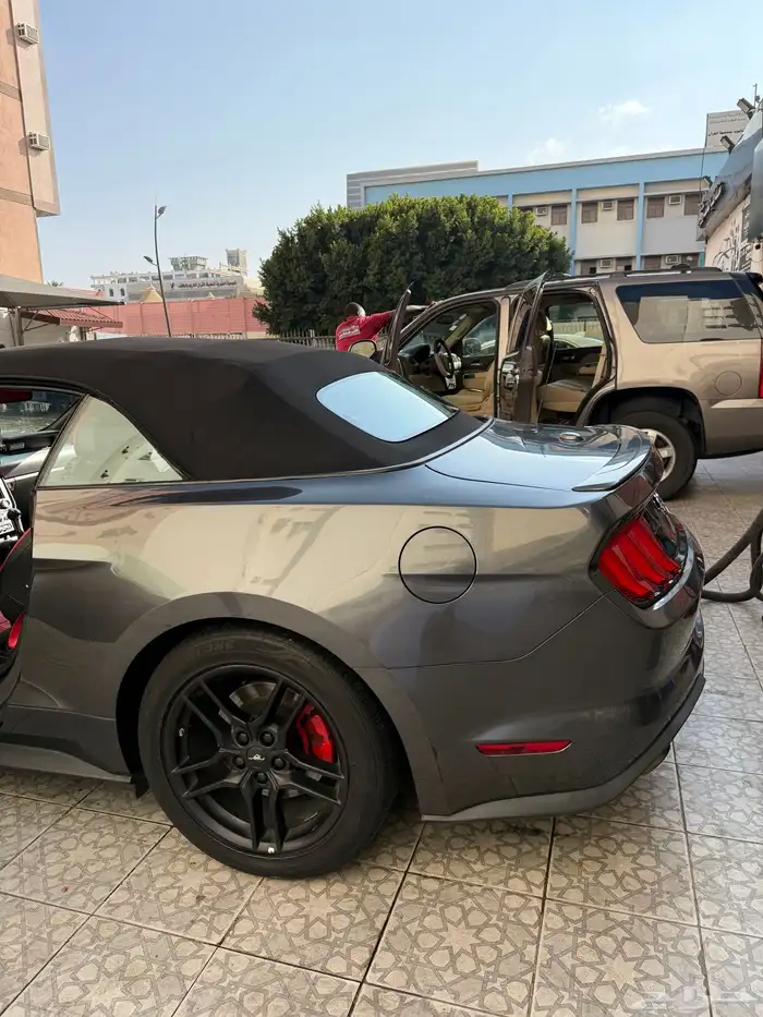 موستنج 2018 كشف 27