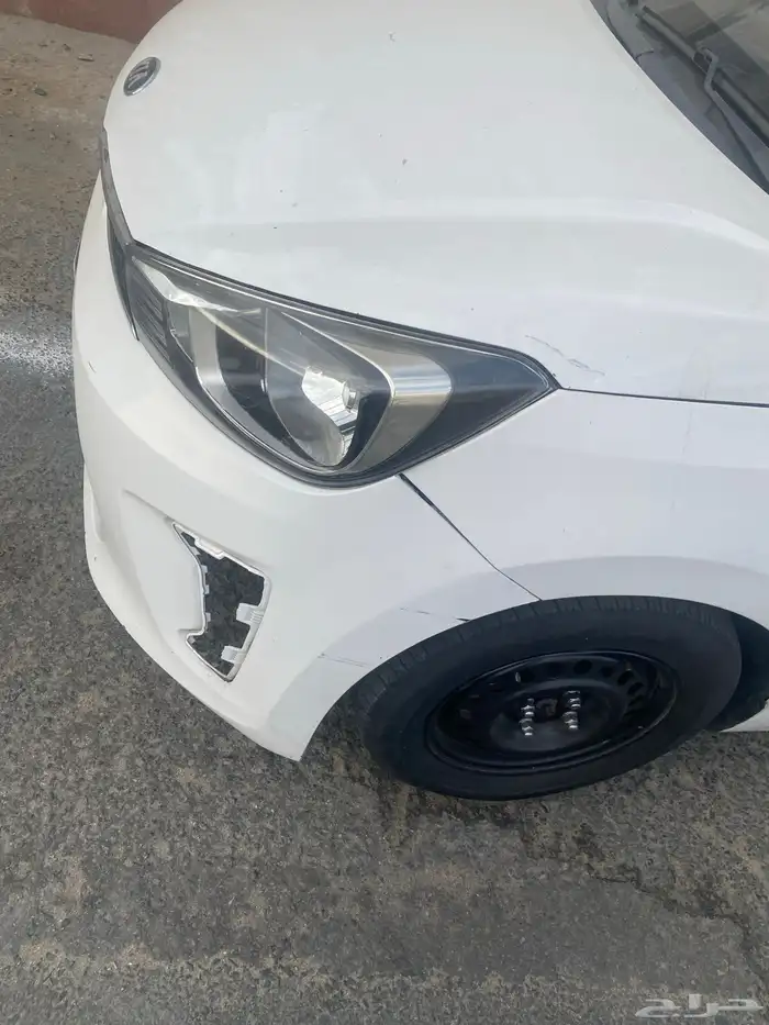 كيا بيقاس 2021 10