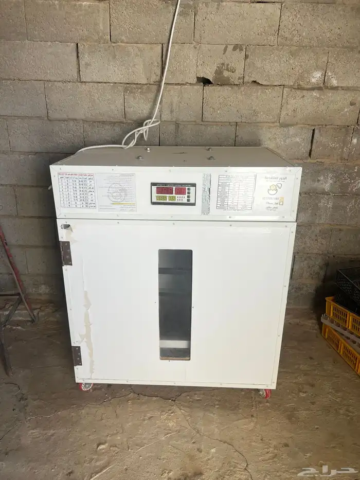 اعرض لكم نوعيني من الفقاسات 6