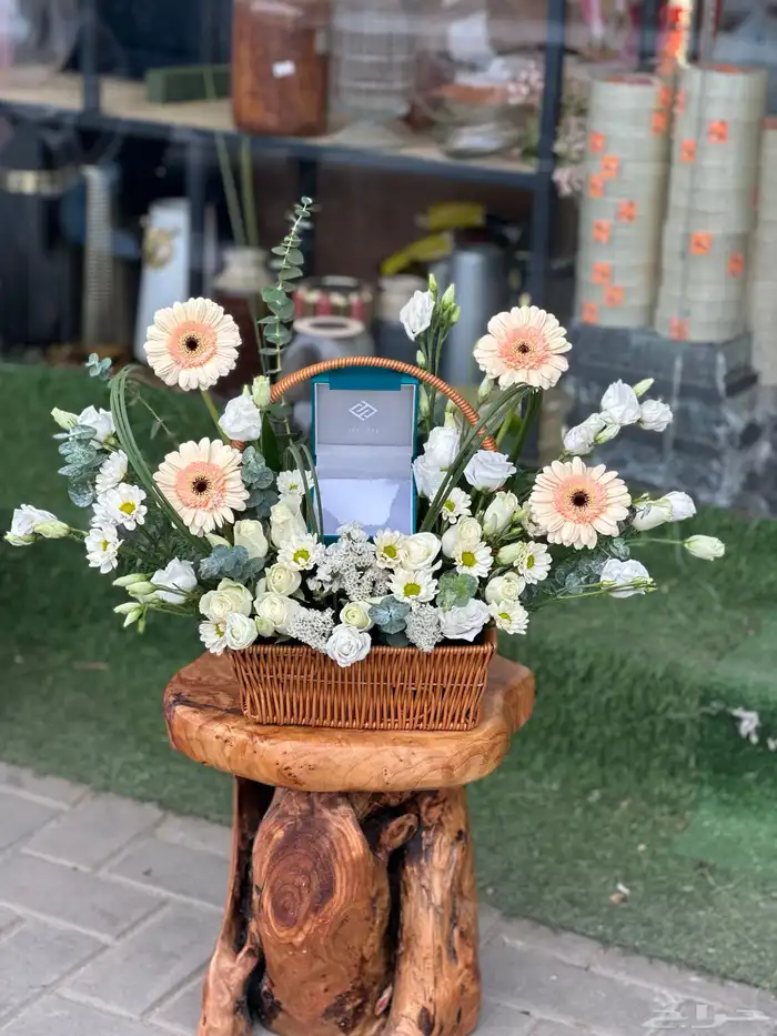 معلم ورد يبحث عن فرصة عمل 6