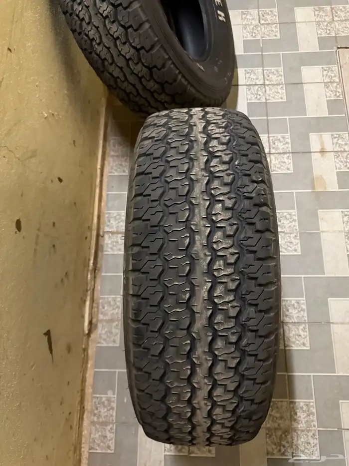 دنلوب 16 تاريخ نهايه 2024 جدد 1