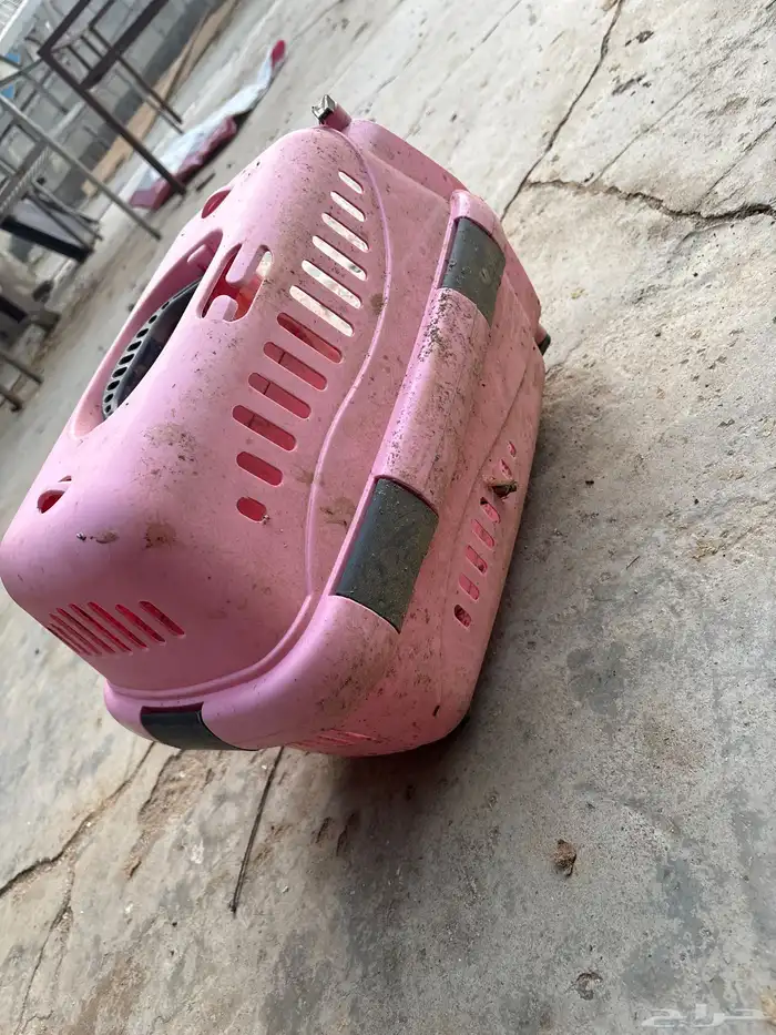 صندوق قطط لبيع 3