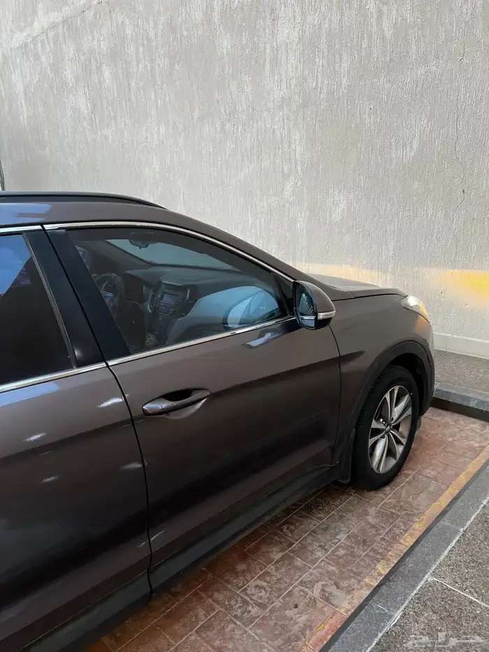 سنتافي 2016 23