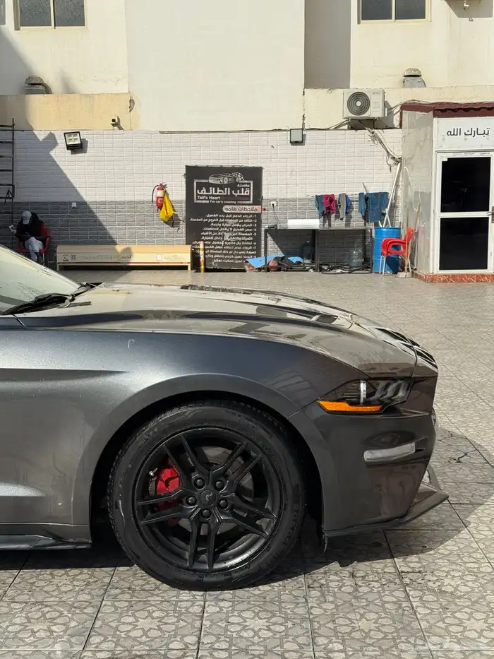 موستنج 2018 كشف 25